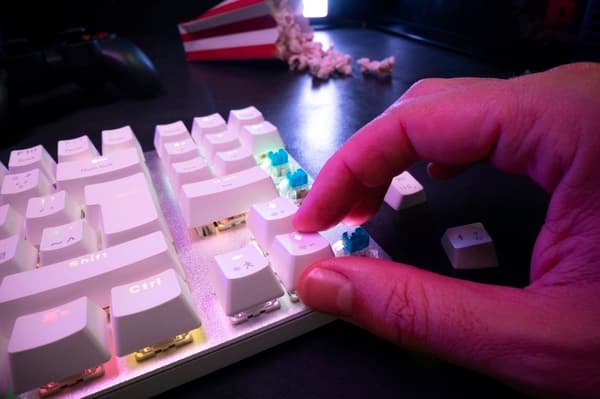 Complete Guide to Mechanical Keyboards